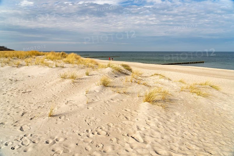 Dunes on the Baltic Sea beach in Graal-Müritz, Mecklenburg-Vorpommern, Germany, Europe