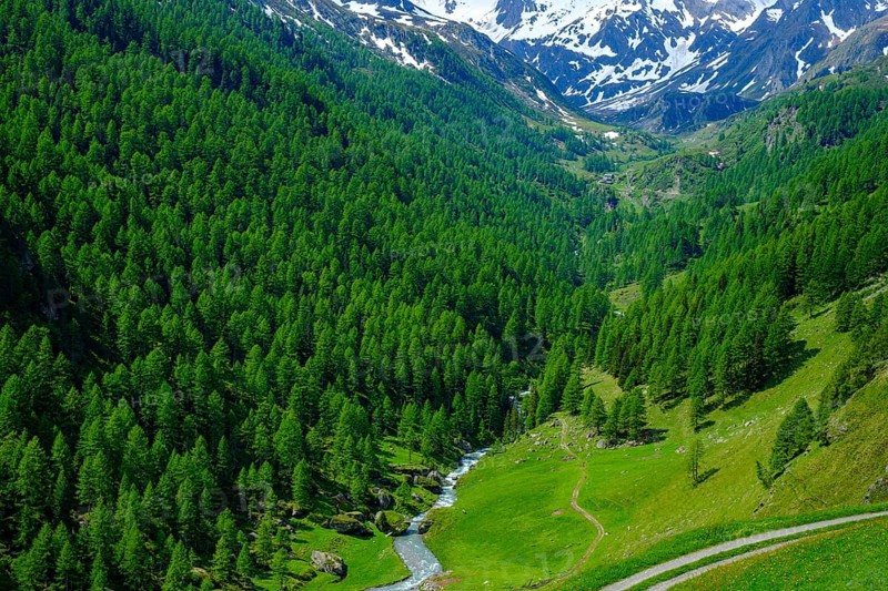 Mountain scenery in the Passeier Valley above Rabenstein, moss in Passeier, South Tyrol, Italy, Europe