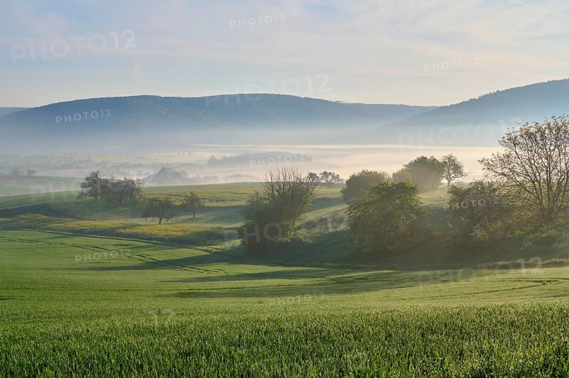 Peaceful landscape with green hills and trees in the morning mist, Mönchberg, Miltenberg, Spessart, Germany, Europe