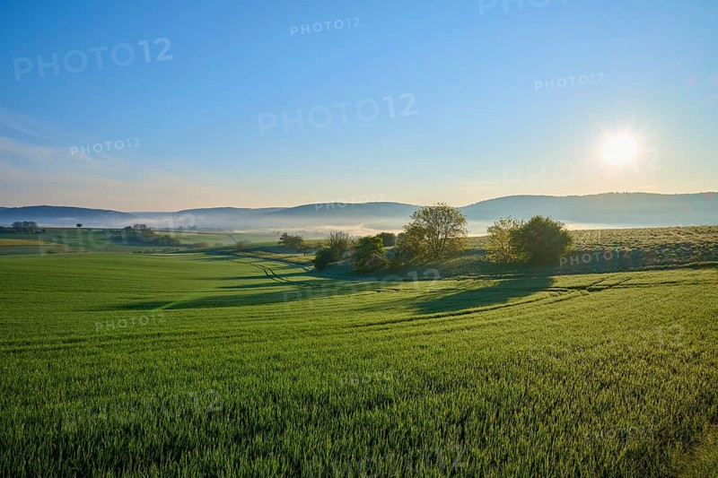 A peaceful landscape with green fields, hills and trees at sunrise with light fog, Mönchberg, Miltenberg, Spessart, Bavaria, Germany, Europe