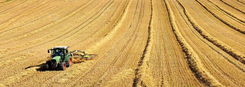 Tractor in stubble field harvesting and turning straw, Saalekreis, Saxony-Anhalt, Germany, Europe