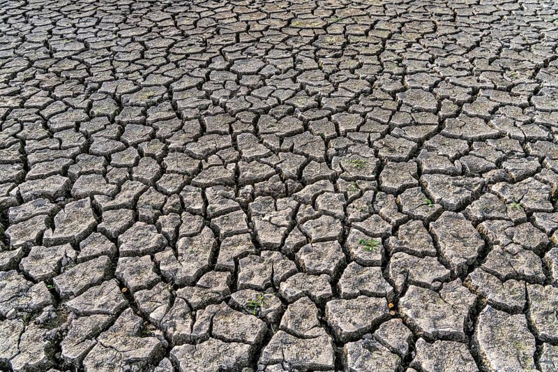 Dry ground, cracked, dried-up riverbed, in a branch of the Rhine, near Duisburg
