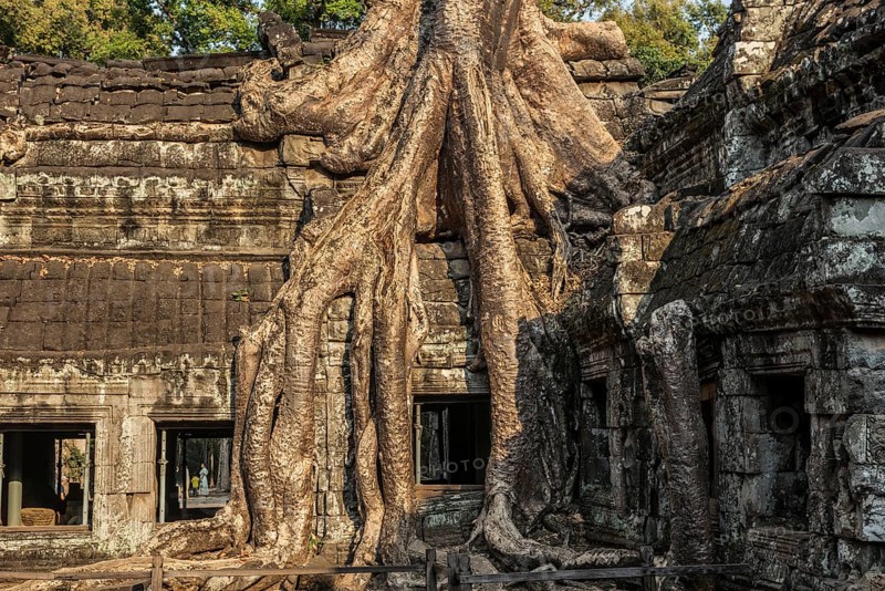 Ta Prohm, Angkor Wat, Angkor, UNESCO World Heritage Site, Siem Reap, Cambodia, Indochina, Southeast Asia, Asia