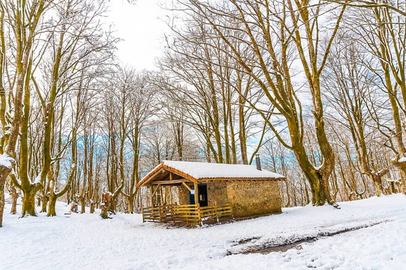 The refuge next to trees in the snow-covered Oianleku Natural Park in the town of Oiartzun, next to Peñas de Aya in winter, Gipuzkoa. Basque Country