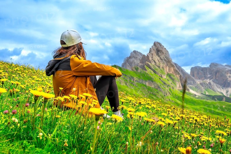 Young woman sitting in a field of yellow flowers admiring the odle mountain group in the italian dolomites