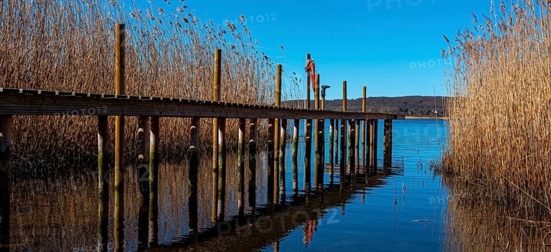 Landscape at Lake Neuensien on the island of Rügen, Mecklenburg-Western Pomerania, Germany, Europe