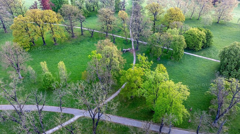 Rosenstein Park in spring with old trees and paths through the landscaped park. Aerial view. Stuttgart, Baden-Württemberg, Germany, Europe