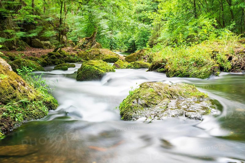 River Trieb in the Triebtal valley between the Pöhl dam and its confluence with the Weiße Elster, Vogtland, Saxony, Germany, Europe