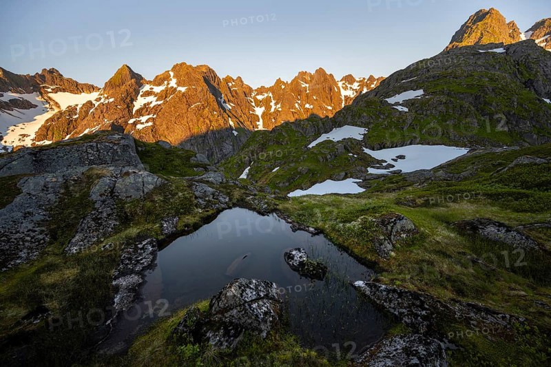 Rocky mountain peaks with reflection, small pond in moor landscape at Trollfjord Hytta, mountain landscape with alpenglow at sunrise, at Trollfjord, Lofoten and Vesterålen, Nordland, Norway, Europe