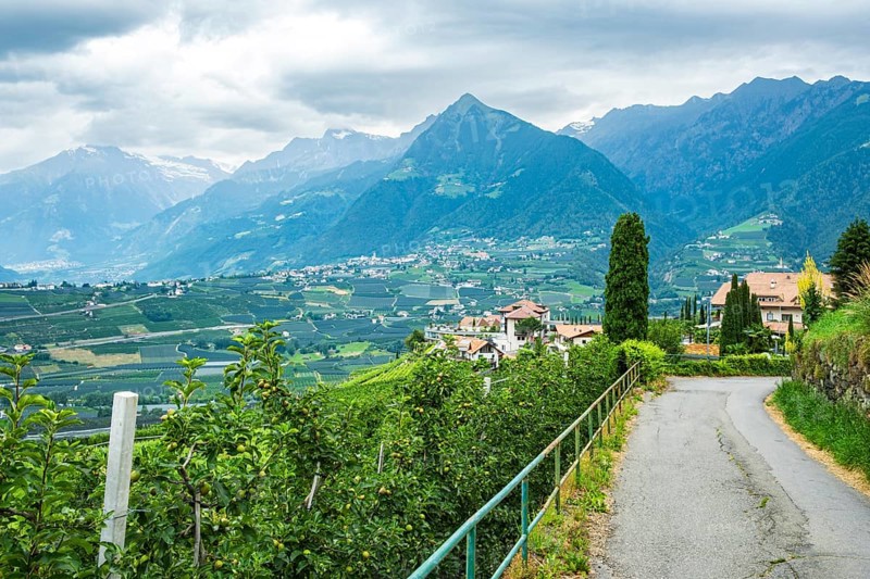Orchards nestled in the picturesque Alpine landscape above Merano in the municipality of Scena, South Tyrol, Italy, Europe