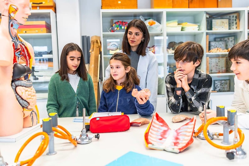 Elementary school students learning anatomy with teacher and anatomical models in a biology class, exploring human and animal organs