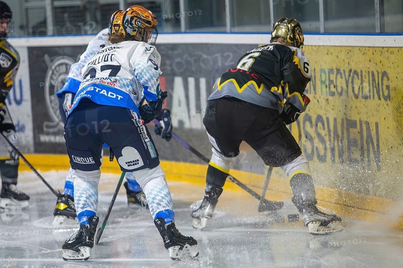 07.12.2024: German Women's Ice Hockey League, 2024/25 season: Mad Dogs Mannheim vs ERC Ingolstadt