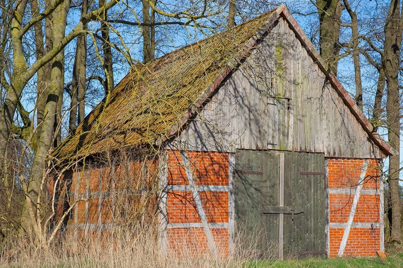 A half-timbered barn stands in a grove, Wildeshauser Geest, Bassum, Diepholz, Lower Saxony, Germany, Europe