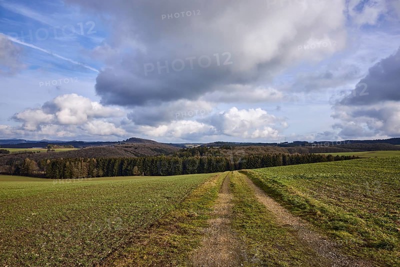 Agriculture, fields, hilly landscape, coniferous forest, landscape, landscape photography, blue sky, cumulus clouds, dirt road, Dreis-Brück, Eifel, Vulkaneifel district, Rhineland-Palatinate, Germany, Europe