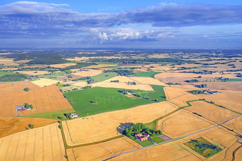 Aerial view over agricultural wheat fields, meadows, farmland and farms in Skåne län, Scania County, southernmost province of Sweden, Scandinavia