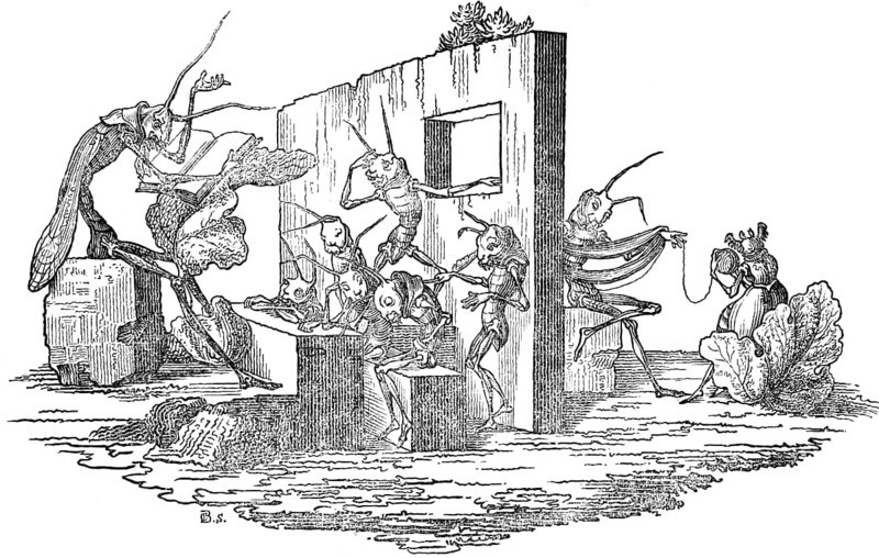 Chaos in the school of grasshoppers, parable about human life, depicted in caricatures of the grasshopper, parody, literary narrative in pictures with morals, mockery and derision, woodcut illustration, Swiss calendar for 1848