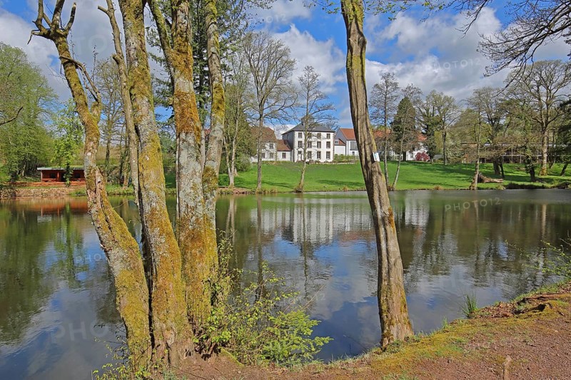Pond with mossy tree trunks at Hofgut Imsbach, nature, moss, reflection, country inn, idyll, landscape, Theley, Tholey, Saarland, Germany, Europe