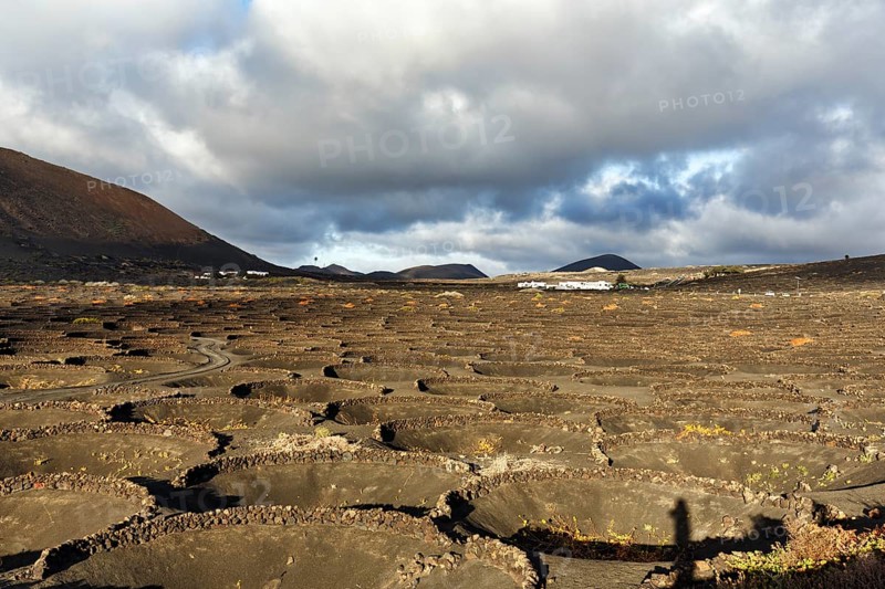 Viticulture on volcanic soil, protective walls for vines, crater, typical landscape with volcanic mountains, La Geria, Lanzarote, Spain, Europe