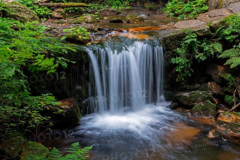 An impressive waterfall flows over rocks in a green forest, White Oppa, Bílá Opava, Bila Opava, near Karlova Studánka, Studanka, Bad Karlsbrunn, Moravskoslezský kraj, Czech Republic, Europe