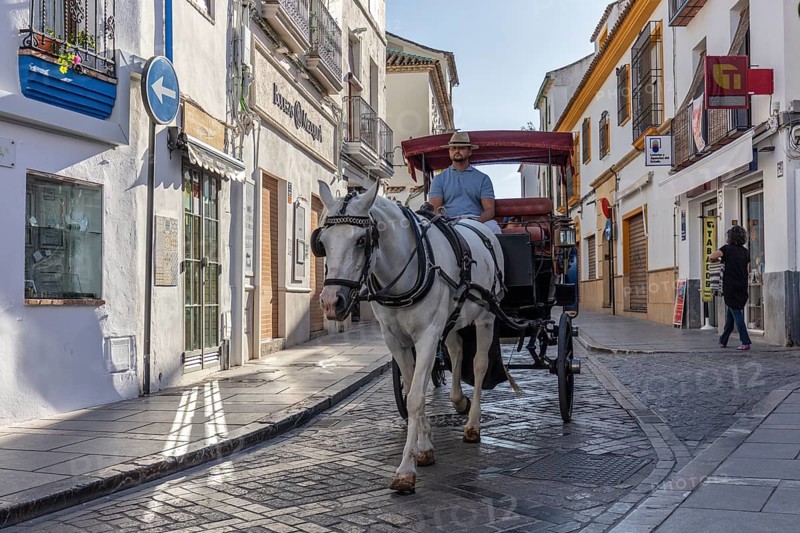 Horse-drawn carriage travelling on a cobblestone street along historic buildings on a sunny day, Cordoba