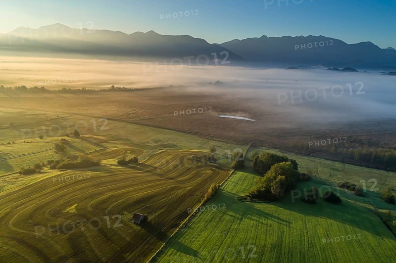 Aerial view of a meadow fertilised with liquid manure in front of a mountain landscape, morning light, fog, autumn, Murnauer moss, Alpine foothills, Upper Bavaria, Bavaria, Germany, Europe