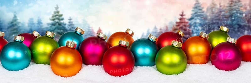 Christmas card with forest in the background card and text free space copyspace banner decoration winter in Stuttgart, Germany, Europe