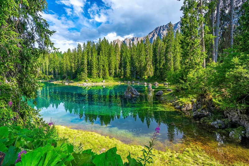 Emerald waters of lake carezza reflecting surrounding fir trees and latemar mountain range in italian dolomites on a bright summer day