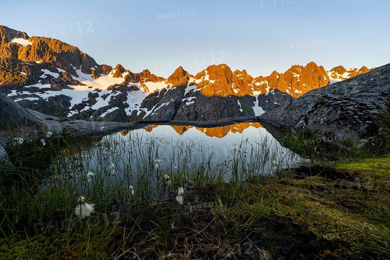 Rocky mountain peaks with reflection, small pond with cotton grass in moor landscape at Trollfjord Hytta, mountain landscape with alpenglow at sunrise, at Trollfjord, Lofoten and Vesterålen, Nordland, Norway, Europe