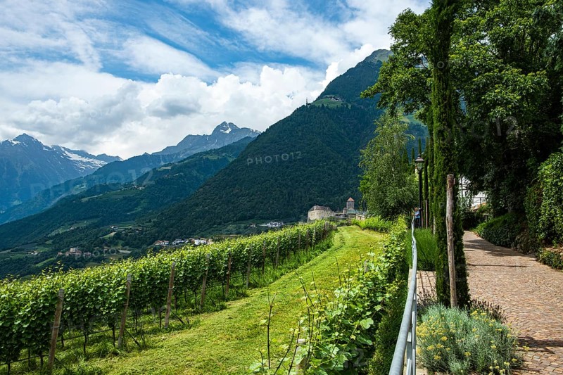 Tyrol Castle seen from Dorf Tyrol, medieval ancestral castle of the Counts of Tyrol and since 2003 home to the South Tyrolean Provincial Museum of Cultural and Regional History near Meran, Burggrafenamt, South Tyrol, Italy, Europe