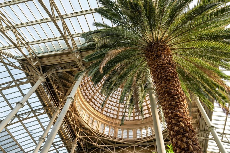 Central hall with dome, palm garden, Ny Carlsberg Glyptotek or New Carlsberg Glyptothek, art museum for sculpture and painting, architects Vilhelm Dahlerup and Hack Kampmann, Copenhagen, Denmark, Europe