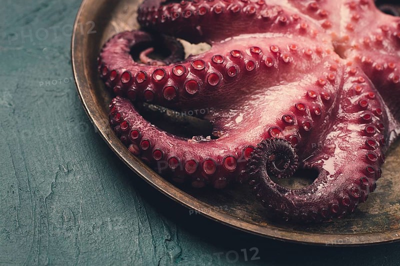 Boiled octopus, close-up, rustic style, no people, top view, close-up