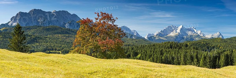Humpback meadows between Mittenwald and Krün, Werdenfelser Land, behind it the Zugspitze, 2962m, Wetterstein range, Upper Bavaria, Bavaria, Germany, Europe