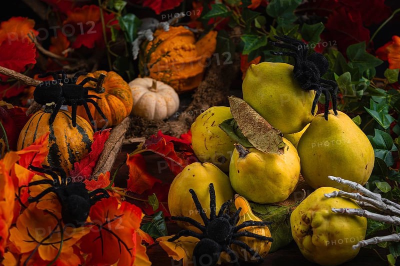 Halloween still life with quinces, pumpkins, spiders and autumn leaves