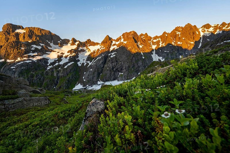 Rocky mountain peaks, landscape at the Trollfjord Hytta, mountain landscape with alpenglow at sunrise, at the Trollfjord, Lofoten and Vesterålen, Nordland, Norway, Europe
