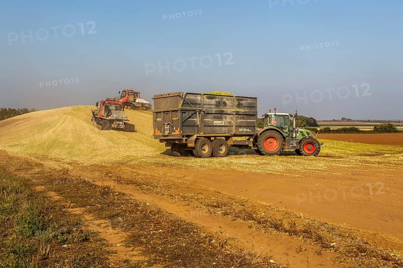 Piston Bully tracked bulldozer vehicles building silage clamp of sweetcorn maize in field stored for biofuel, Alderton, Suffolk, England, UK