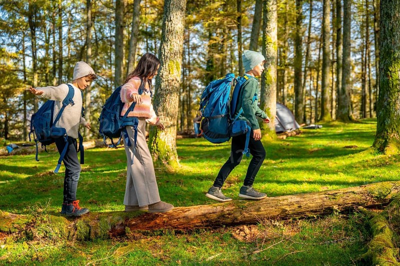 Full length photo of caucasian two brothers and a sister walking over a dead tree trunk while trekking in alpine forest
