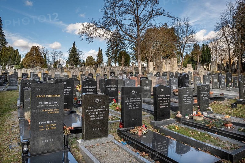 Old and new graves at the Israeli cemetery, inaugurated in 1882, Werner-von Siemens Str. 2, Würzburg, Lower Franconia, Bavaria, Germany, Europe