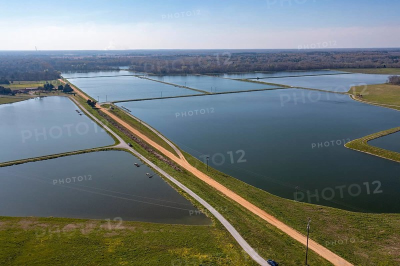 Greensboro, Alabama - Catfish farm ponds in western Alabama