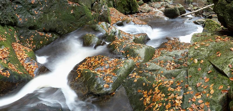 Stream with running water flowing through a rocky landscape covered with autumn leaves, Bavarian Forest National Park