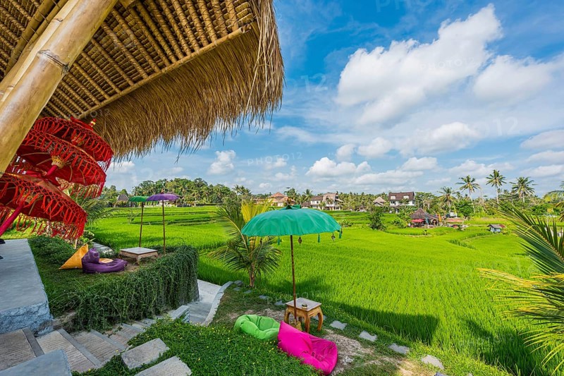 Café and bistro in the rice paddies, seating area, outdoor, gastronomy, travel, tourism, Ubud in Bali, Indonesia, Asia