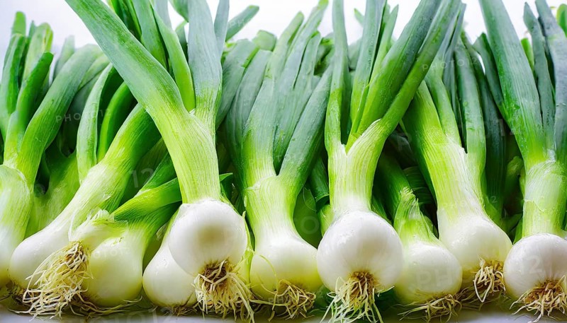 Vegetable, spring onion or spring onion, also known as winter onion, Allium fistulosum
