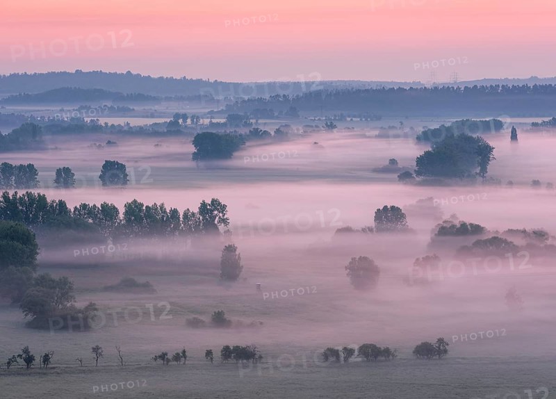 View from the Teufelsmauer (Devil's Wall) into the Harz foothills, landscape with trees and fields in fog and at dawn, Teufelsmauer nature reserve, near Blankenburg, Harz, Saxony-Anhalt, Germany, Europe