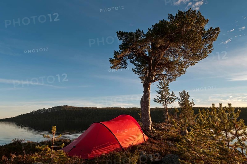 Tent at Lake Gutulisjoen, Gutulia National Park, Hedmark Fylke, Norway, Bivouac, Norway, Europe