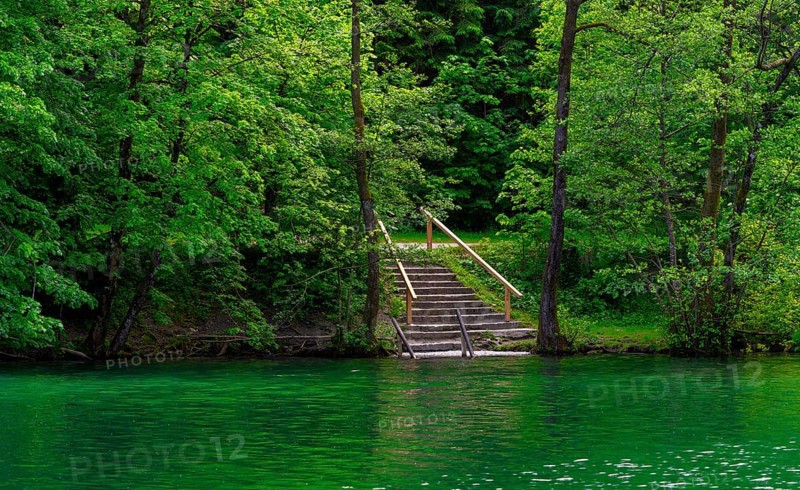 Landscape at Lake Thumsee, Bad Reichenhall, Bavaria, Germany, Europe
