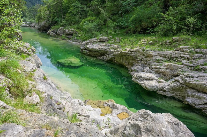 Emerald green river Pozze Smeraldine, Tramonti di Sopra, Province of Pordenone, Italy, Europe