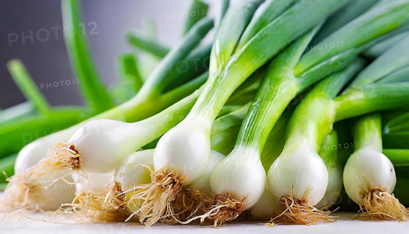 Vegetable, spring onion or spring onion, also known as winter onion, Allium fistulosum