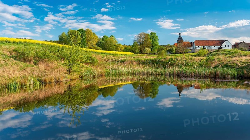 The small village of Teichwitz with half-timbered house, village church and blooming rape field under a blue sky, reflection in a pond, Weida, Thuringia, Germany, Europe