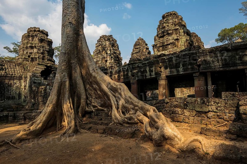 Ta Prohm, Angkor Wat, Angkor, UNESCO World Heritage Site, Siem Reap, Cambodia, Indochina, Southeast Asia, Asia