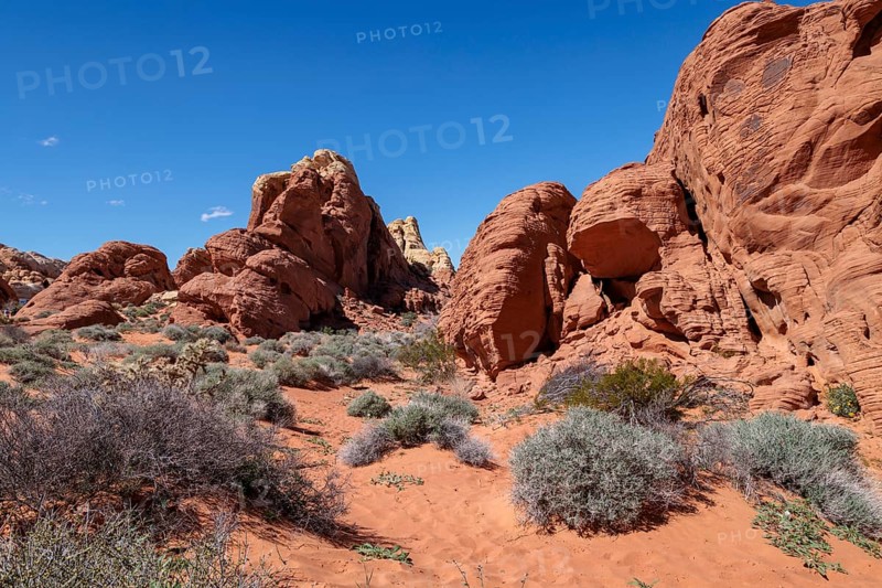 Rock formations along the Fire Canyon Overlook Trail at Valley of Fire State Park near Overton, Nevada