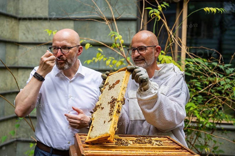 Jens Ardelt and State Secretary Thomas Kralinski hiving a beehive. Since the beginning of 2023, 500, 000 new employees have been working in the Saxon Ministry of Labour: Eight bee colonies have been busily collecting nectar for honey ever since. Beekeeper Rico Heinzig (MyHoney GmbH from Meißen) has been known throughout Germany since his legal dispute with satirist Jan Böhmermann. MyHoney currently looks after over 200 bee colonies. In 2022, the organic beekeeping business received the international London Money Award in Gold, beekeeper at the Saxon Ministry of Labour, Dresden, Saxony, Germany, Europe